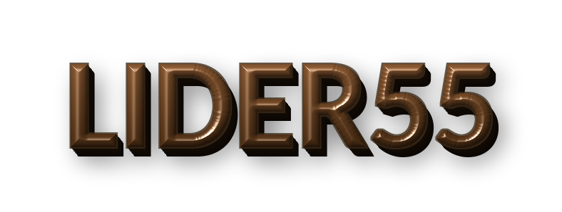 LOGO-LIDER55